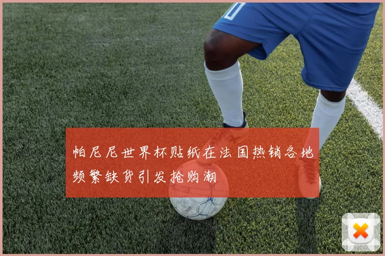 帕尼尼世界杯贴纸在法国热销各地频繁缺货引发抢购潮